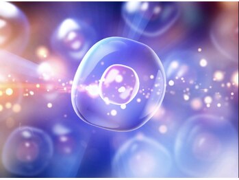 エッセンス トーキョウ(essence tokyo)/エナジーテラピー