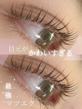 プラチナムドール 枚方店(PLATINUM DOLL)/まつ毛パーマ/ラッシュリフト