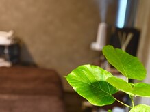 ナル(naru.)の雰囲気(ブライダルに向けて、大切な日の前にも、おすすめです。)