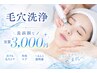 顔全部位洗浄/毛穴洗浄/毛穴・皮脂・汚れ・角質除去 /¥5000