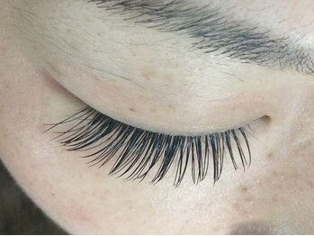 シュシュ(chou chou)/セーブル160本(chouchou吉祥寺)