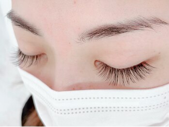 ベルダ(BELDAD)/シングル付け放題