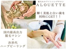 アルエット(Alouette)