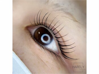 ハレリー(HARELY)/