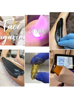 ヒロット タオ(HILOT TAO)/TAOの脱毛