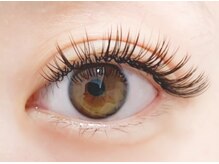 ラヴィ(La vie)/フラットラッシュ140本