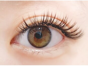 ラヴィ(La vie)/フラットラッシュ140本