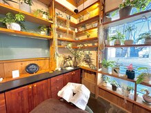 鍼灸マッサージ院 ママ(mama)の雰囲気（～完全個室サロン～）