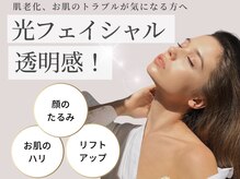 ニーズ(NIEES)の雰囲気（光の力でお肌の内側から肌質改善◎）