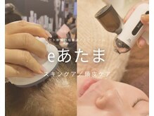 eあたま/お肌と頭皮のケアできます