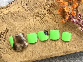 10月定額foot collection
