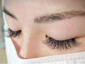 ベルダ(BELDAD)/ツイン付け放題