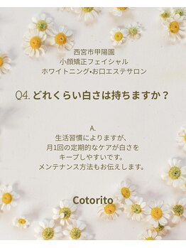 コトリト(Cotorito)/