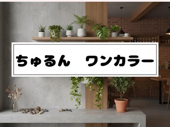 ちゅるんワンカラー ¥3980