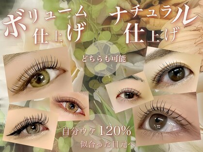 ネフェル(nefer)の写真