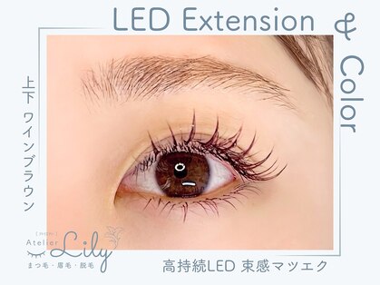 アトリエ リリー(Atelier Lily)の写真