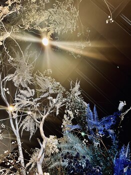 ロアボ(ROABO)/店内