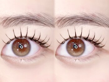 ラウレア(Laule'a)/《マツエク》フラットラッシュ