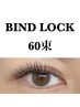 【導入キャンペーン価格★】バインドロック　60束(120本)￥5500→￥4500