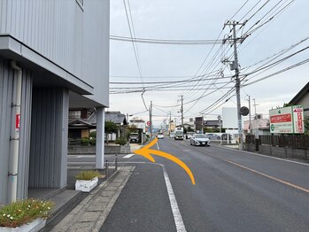 プレシア(Plecia)/サロンまでの経路1
