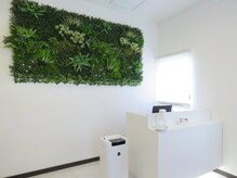 ステッリーナ(stellina)/stellina店内