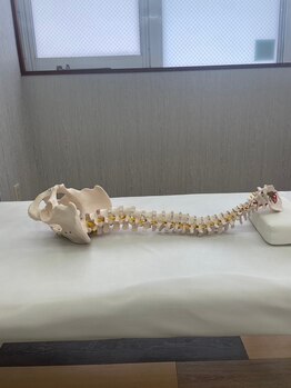 かなれ整骨院/学割U24/顔脱毛/眉毛サロン/腰痛