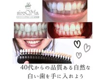 シロクマ(siroQMa)