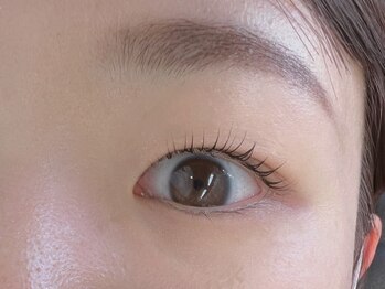 ジラフ(giraffe)/【ラッシュリフト】ナチュカール