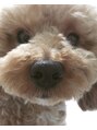 ネイルマジック 仙台一番町店(NAIL MAJIC)&nbsp;トイプードル飼ってます(^o^)