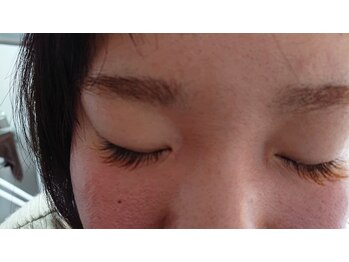 ナチュラル/ブラウンエクステ