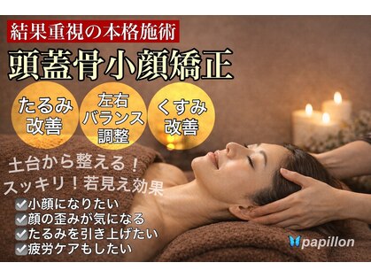 パピヨン(papillon)の写真