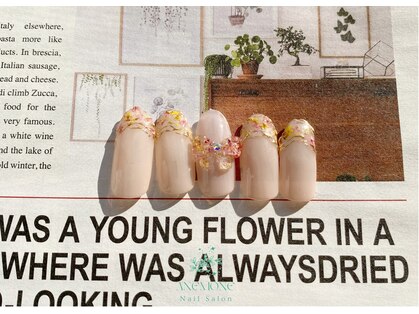 アネモネ(ANEMONE)の写真