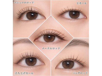 アイラッシュマルヴァ(Eye Lash Malva)の写真