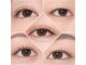 アイラッシュマルヴァ(Eye Lash Malva)の写真