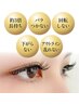 【新メニュー導入】デザインキープラッシュ120束（240本）モニター価格