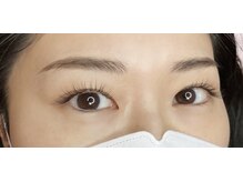 カメリア(Camellia)/シングルラッシュ100本