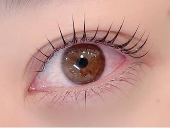 シャッセ(SASE)の写真/落ち着いた空間で毎日が少し楽しみになるような理想の目元を叶えます