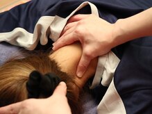 手もみシャトー/