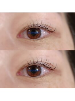 カミーノ(CAMINO)/