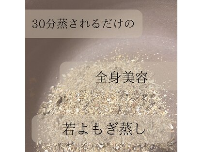 シュシュ(shushu)の写真