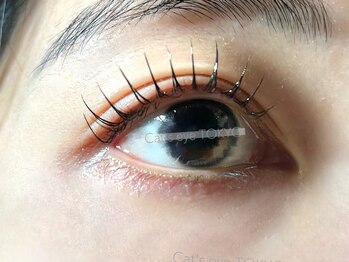 キャッツアイ東京 新宿店(Cat's eye TOKYO)/パリジェンヌラッシュリフト