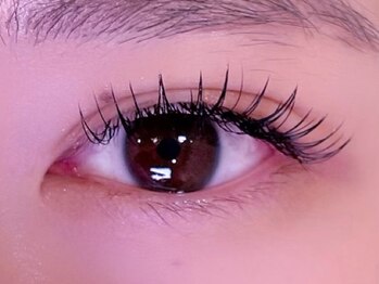 シル シェノン(cil shenon)/フラットラッシュ140本