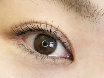 アイラッシュサロンクローバー 大垣店(CLOVER)の写真/《口コミ高評価》韓国で大人気『マスカラパーマ』導入！まつ毛を1本1本濃くはっきりさせ、すっぴんも美しく