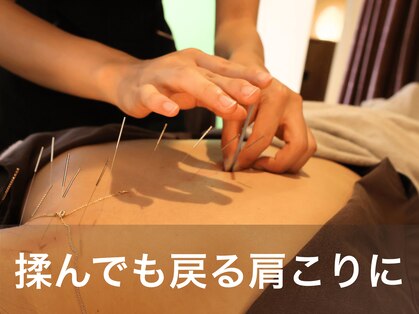 ビアンカ 目黒本院(Bianca)の写真