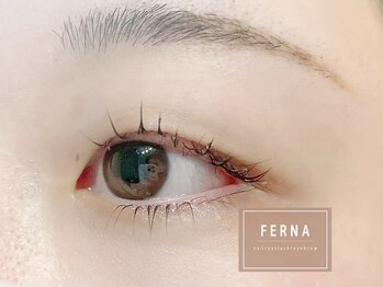 フェルナ(FERNA)/パリジェンヌラッシュリフト上下