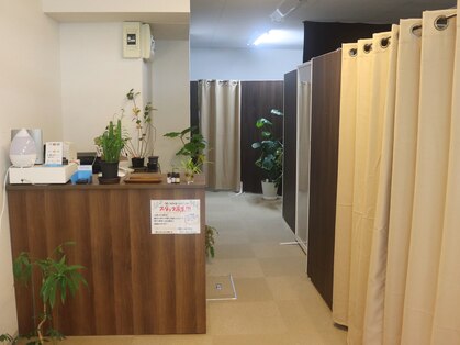 カノン(Kanon)の写真