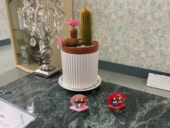 エス センダイ(S SENDAI)/お雛祭り開催中！