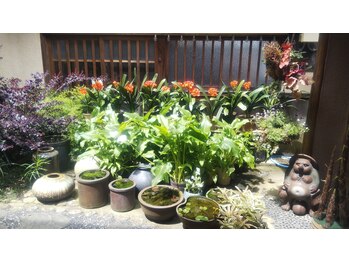 リカ/玄関を入ると