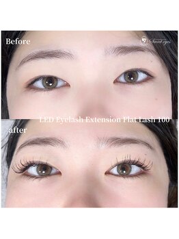 スウィートアイズ(Sweet eyes)/LEDフラットラッシュ100本