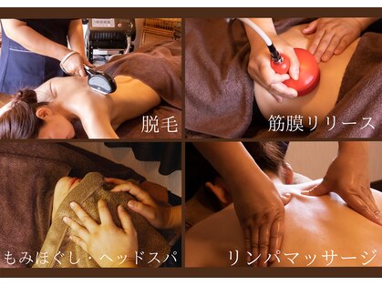 ポピーの写真